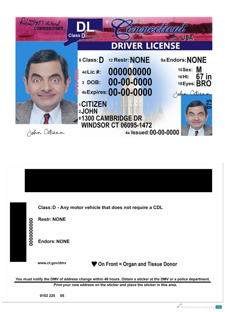 download USA Connecticut driving license version 2